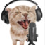 PodcastCat