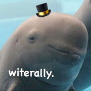 legitdolphin