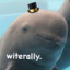 legitdolphin