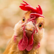 酒泉卫星发射中心