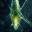 Mr Plankton
