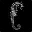 seahorse