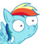 RAINBOW DASH