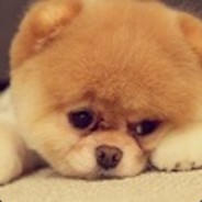 花果山的傻猴子