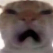 瓦转go又唐又马