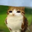 Gato Buho ʕ•ᴥ•ʔ