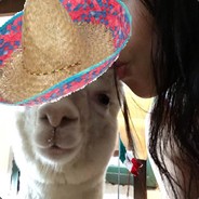 El Paca