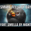 smartfella