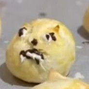 我是一只青蛙，倒地就说呱呱呱