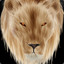 Lok Of Elisha