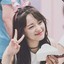 No Sejeong No Life