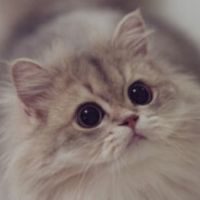 我是来拆散这个家的