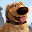 Doug
