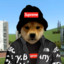 Co4ный DOGE