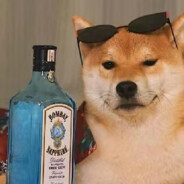 哼哼啊啊啊啊啊啊啊