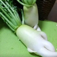 我的很大  你忍一下