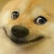 ♂ Dodger ♂ #апермс