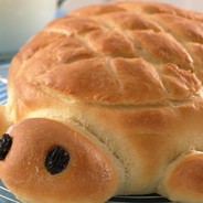 BreadTurtle