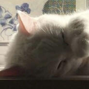 гадаю по клитору