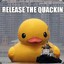 Quackarus