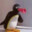 Mr. NOOT NOOT™'s avatar