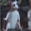 EL RIT 2