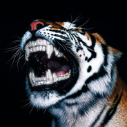 Ma1be's avatar
