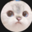 Sir_Ori