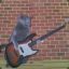 Cat Bassplayer