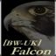 2Lt.Falcon