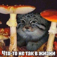 Федя Сладкоежка