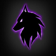 Wolf-666 - steam id 76561199137790880
