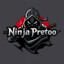 ⑳ NinjaPretoo ︻デ 一