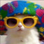 Krista the Cat Finder