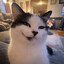 funnyguppygaming
