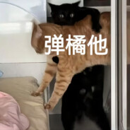 Aaa退堂鼓乐队主鼓手燃燃