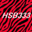 HSB333