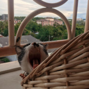 พี่เห็นหนูด้วยเหรอคะ