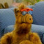 ALF