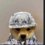 のｱﾑ尺ﾘ丂み☆ ★ ✮