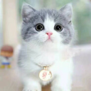 尼泊尔海军司令