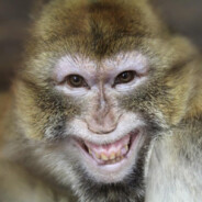 Кокоджамбо