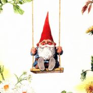 Gnome Steve