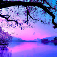 OLD SIX（StatTrak™️）