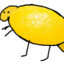 Lemonsaurus