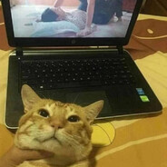 1 - steam id 76561198771879002