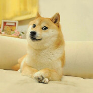 СобакаВСтилеФГДС