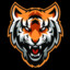 Tiger_claw113