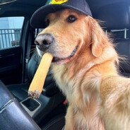 Maniek - steam id 76561199441230930