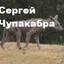 Сергей Чупакабра